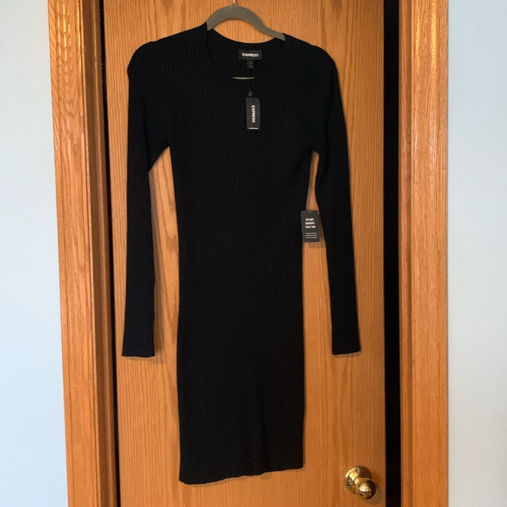NWT Express fitted long sleeve sweater dress